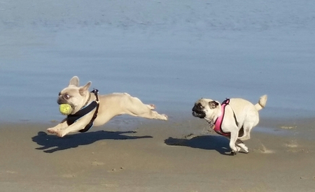 Beaureguard and Lola