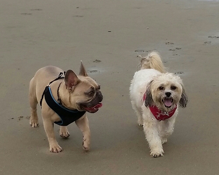 Beaureguard and Piper