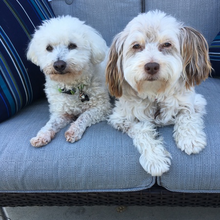 Maggie and Buddy