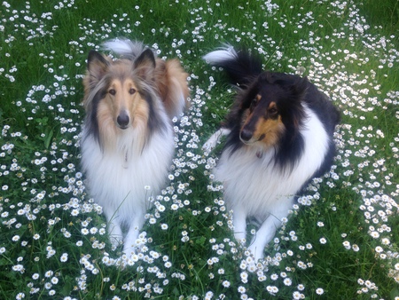 Dillon & Heather