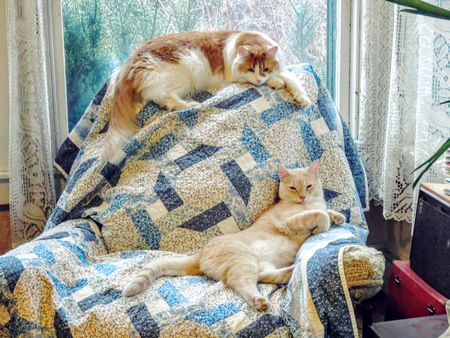 Fitz and Ruben