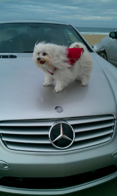 Benz