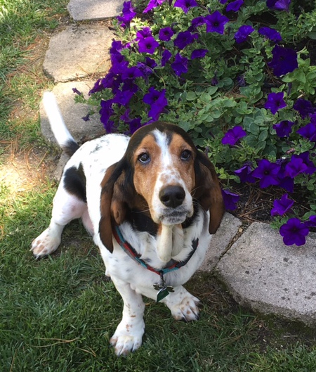 Watson