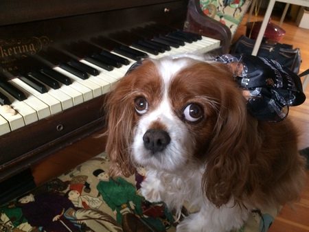 Maggie