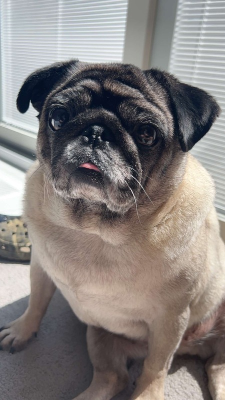 Lola