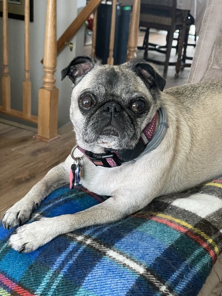 Lucy
