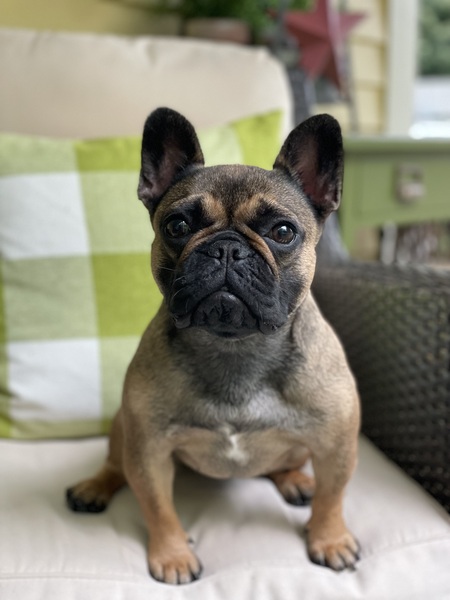 Mabel