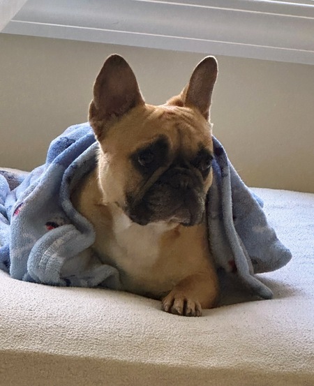 Bea