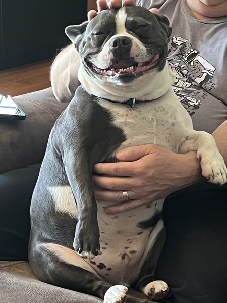Clyde