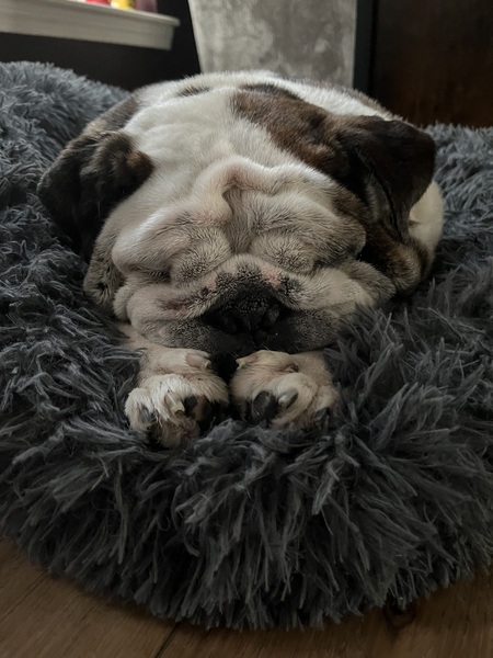 MayBelle 