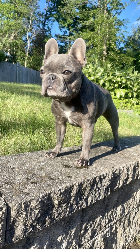 Gus 