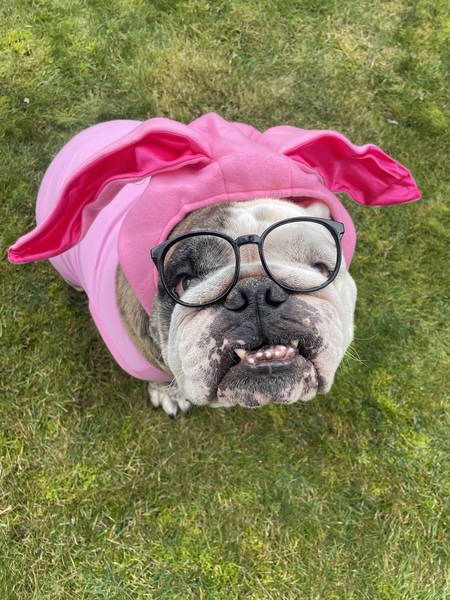 Ralphie Parker