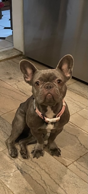Daisy Zola