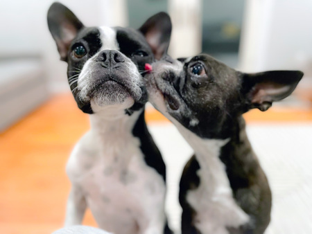 Luna (right) and Oliver (left)