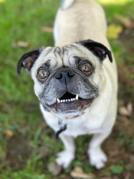 Murphy