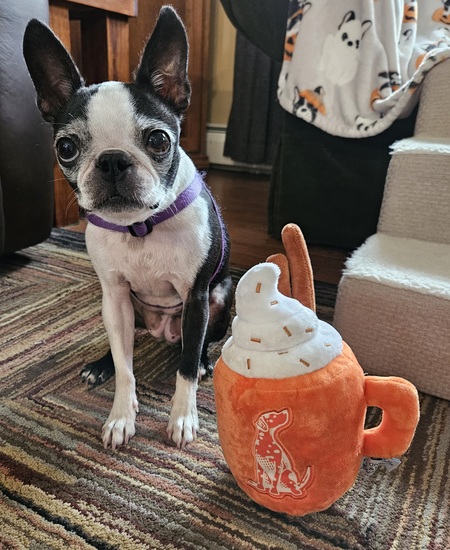 Peanut 