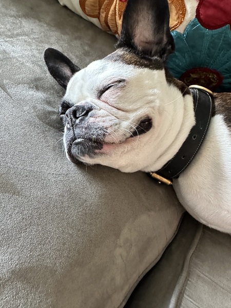 Benny