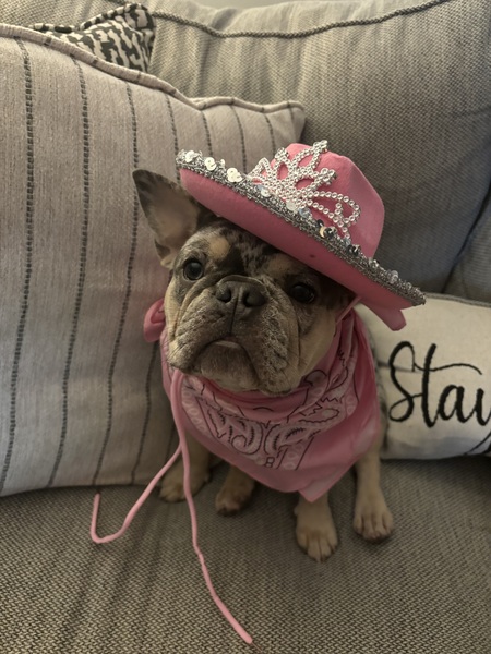 Chloe