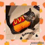 Entry image for Schwartz 