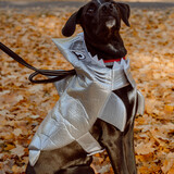 Entry image for Porter