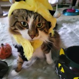 Entry image for Baxter 