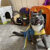 Entry image for Luke