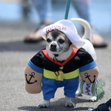 Entry image for Roscoe