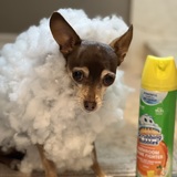 Entry image for Titan 