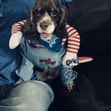 Entry image for Hero