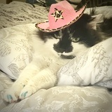 Entry image for MaxMax