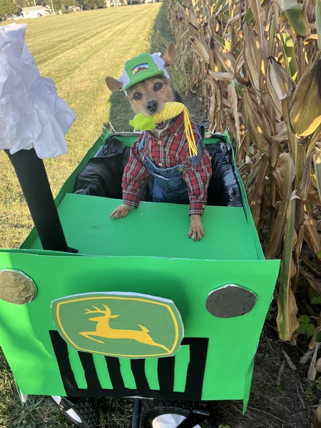 Entry image for Prince. Clicking this image will show a larger photo