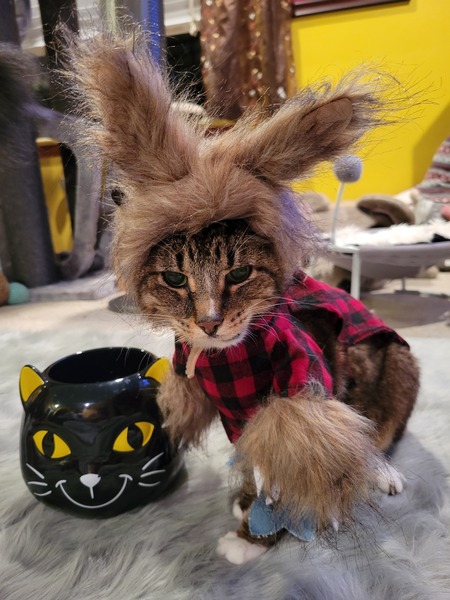 Entry image for Sheldon. Clicking this image will show a larger photo