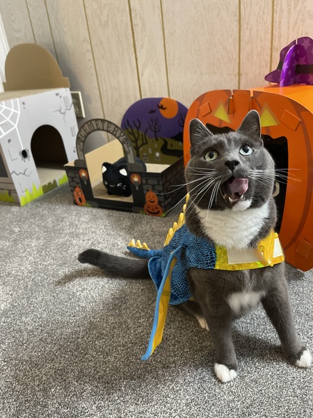 Entry image for Luke. Clicking this image will show a larger photo