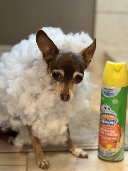 Entry image for Titan . Clicking this image will show a larger photo