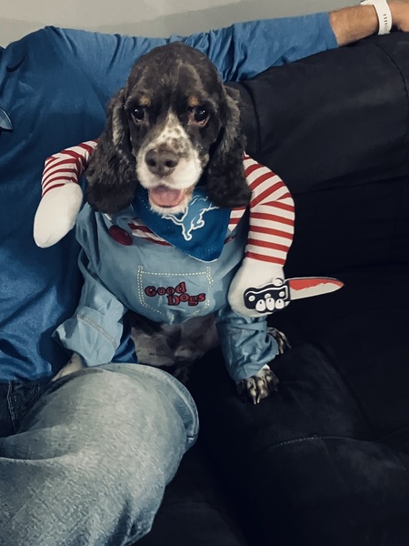 Entry image for Hero. Clicking this image will show a larger photo