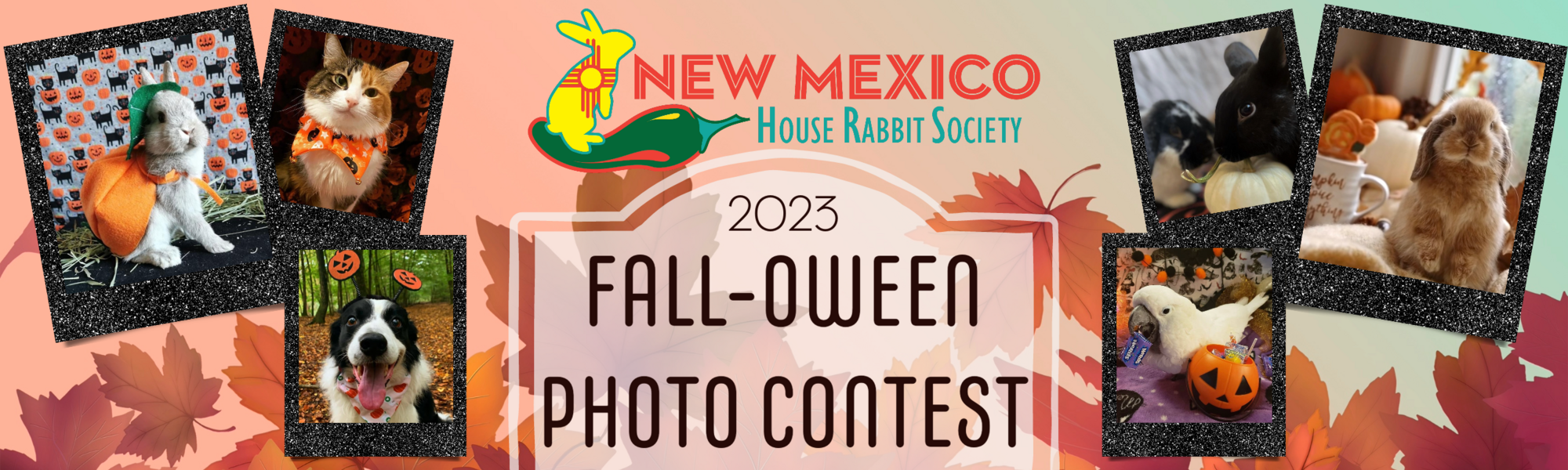Banner for 2023 Fall-oween Photo Contest