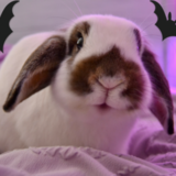 Entry image for Nugget