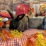 Entry image for Fionita Marie