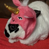 Entry image for Sheldon 