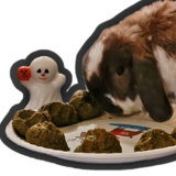 Entry image for Luna