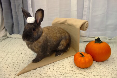 Entry image for Tye. Clicking this image will show a larger photo