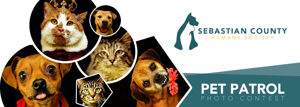 Banner for Pet Patrol Photo Contest