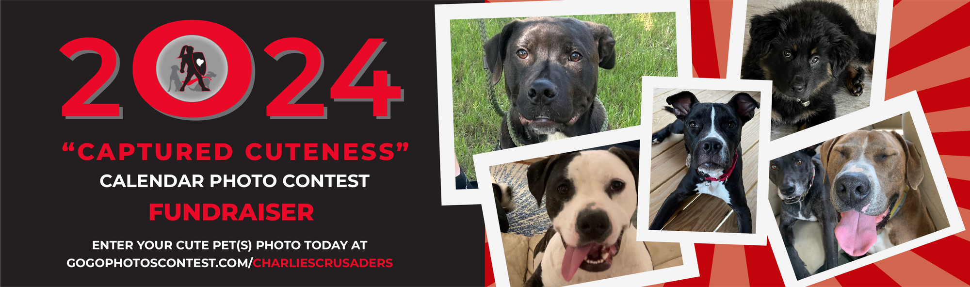 Charlie's Crusaders Pet Rescue 2024 Charlie's Crusaders Captured