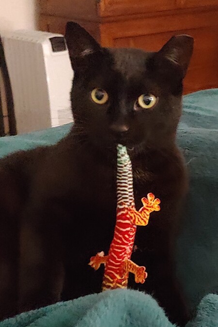 Agador and his toy lizzard