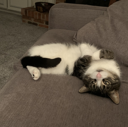 Peanut