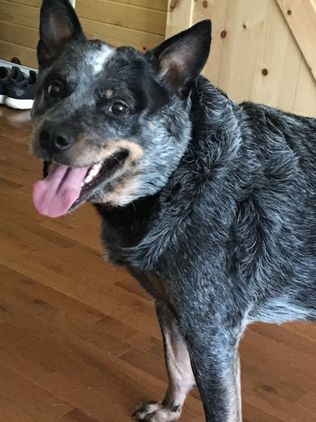 Zeke