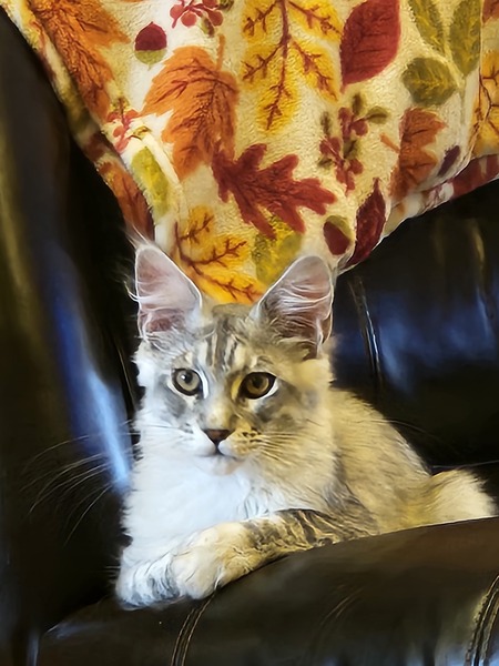 Vinny