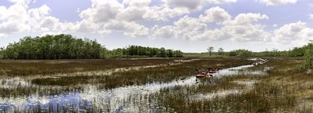 Kayaking On Grassy Waters