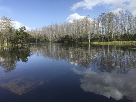 Grassy Waters Winter Landscape