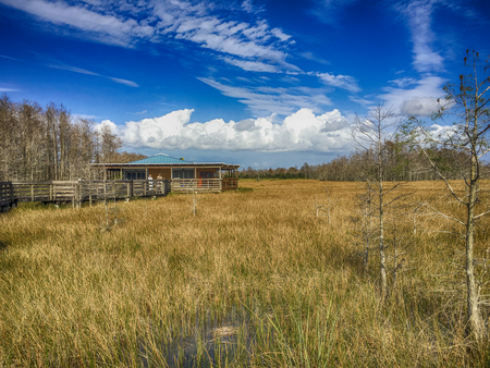 Preserve Gallery & Boardwalk